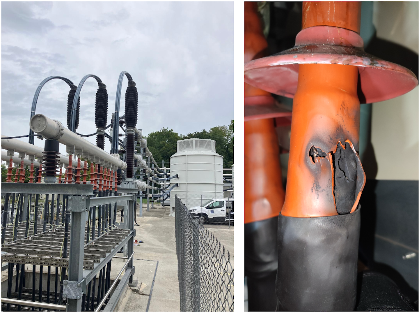 Accelerator Report: Good performance for some, swift recovery for others